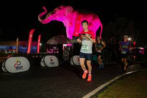 BIB: 
                            <button type="button" onclick="openModal(26535005)" class="btn btn-primary btn-sm float-right btn-popup" data-toggle="modal" data-target=".modal-high-quality">
                        <i class="fas fa-shopping-cart"></i> Add to Cart
                    </button>
                                            <button type="button" onclick="isThisMe(26535005, true)" class="btn btn-success btn-sm float-right btn-popup btn-isme hidden" data-toggle="tooltip" data-placement="bottom" title="นี่คือรูปของคุณใช่ไหม คลิกที่นี่เพื่อเอาเข้าอัลบั้ม">
                        <i class="fas fa-plus"></i> Add to album
                    </button>
                    <button type="button" onclick="isThisMe(26535005, false)" class="btn btn-warning btn-sm float-right btn-popup btn-isnotme hidden">
                        <i class="fas fa-ban"></i> Remove from album
                    </button>